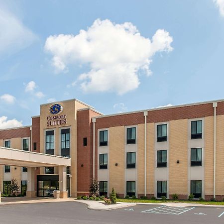 Comfort Suites Rensselaer Near Fair Oaks Εξωτερικό φωτογραφία