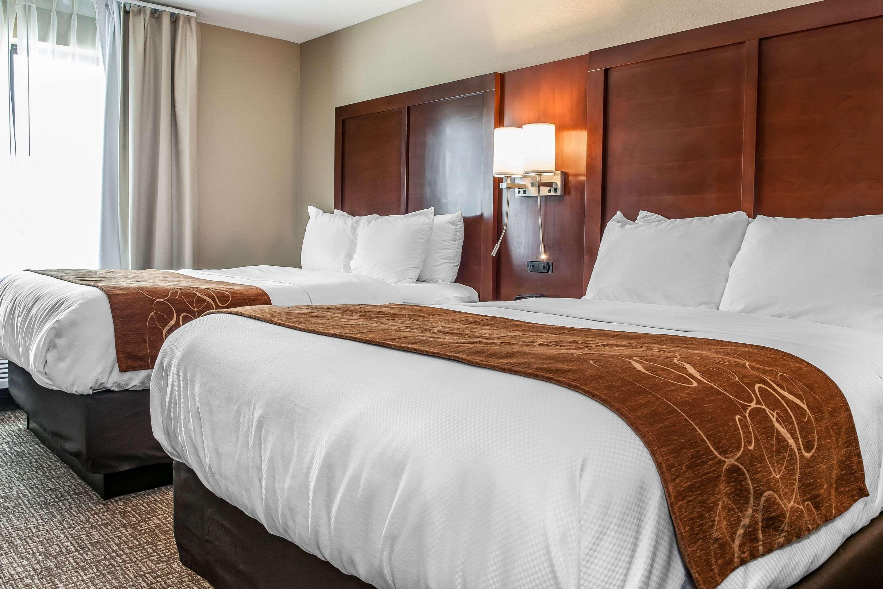 Comfort Suites Rensselaer Near Fair Oaks Εξωτερικό φωτογραφία