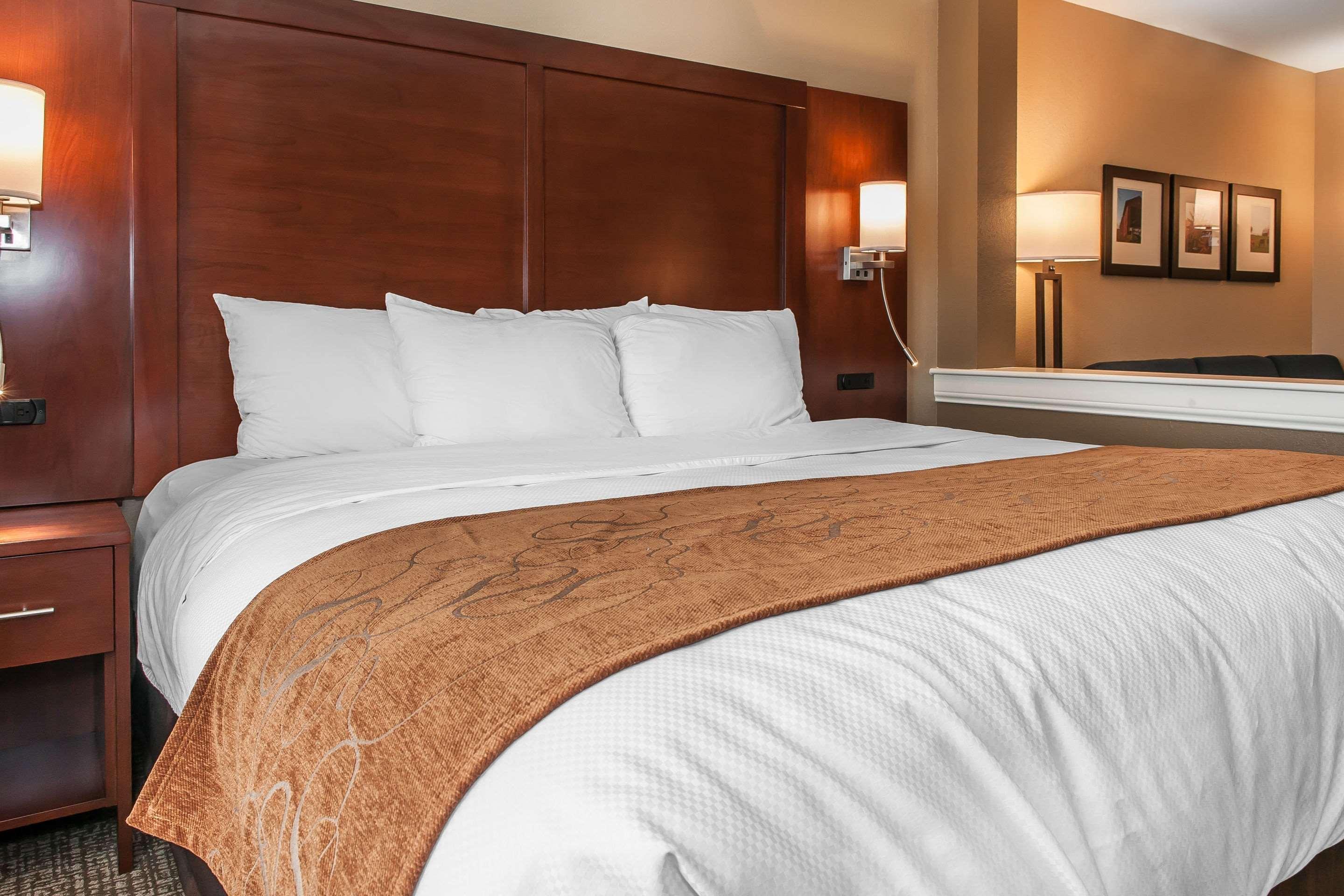 Comfort Suites Rensselaer Near Fair Oaks Εξωτερικό φωτογραφία